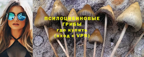 таблы Дмитров
