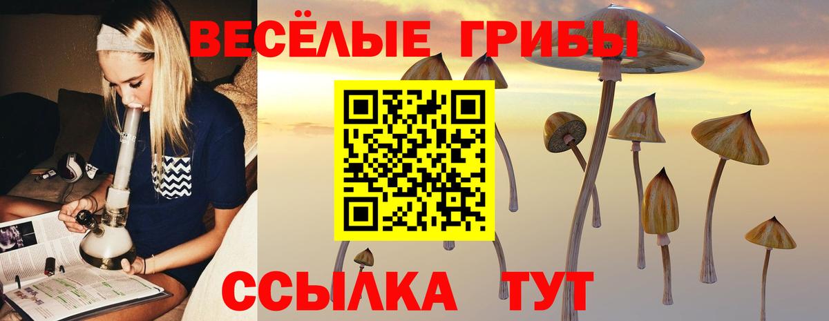 Галлюциногенные грибы мицелий  Вход с VPN  Нижневартовск 