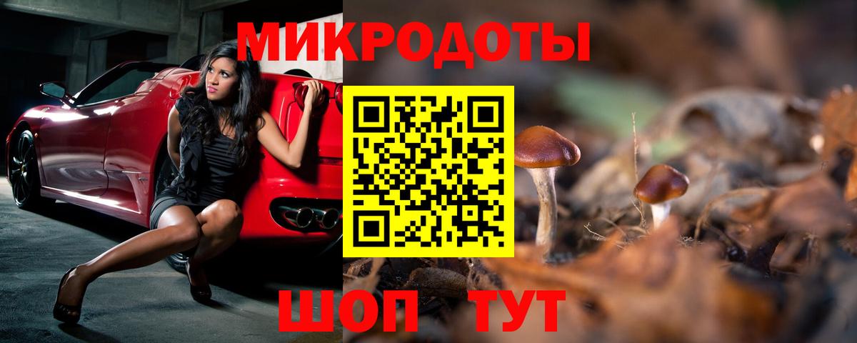 Псилоцибиновые грибы Cubensis Нижневартовск